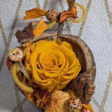 Buddhanuss mit gefriergetrockneter Rose